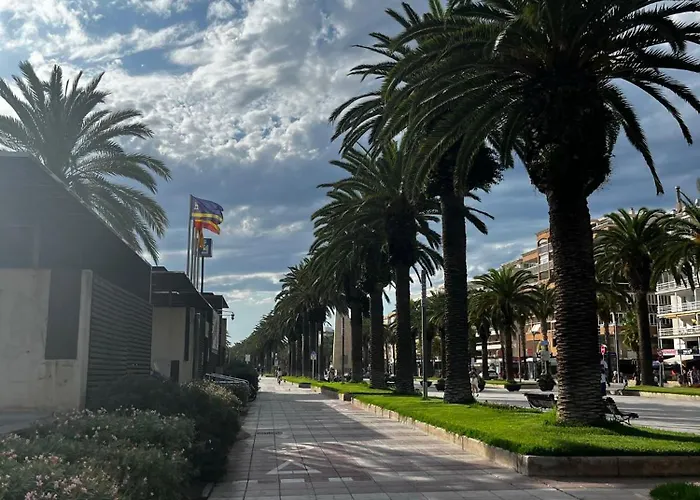 Michelangelo Camar Salou